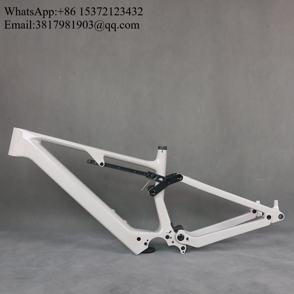 MTB Suspension 29er Frame Elec - đánh giá và giá Carbon Bike Frame