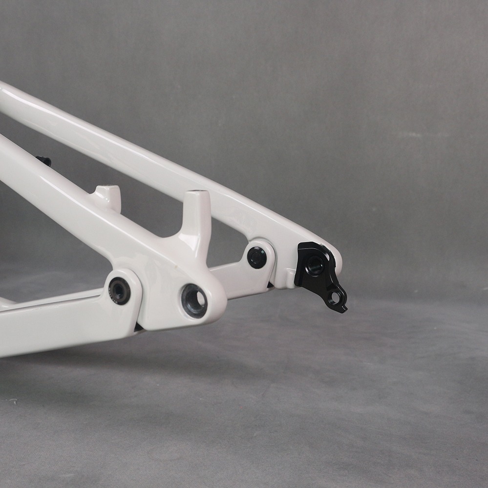 MTB Suspension 29er Frame Elec - đánh giá và giá Carbon Bike Frame